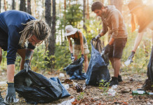 Paladini del territorio: al via l’edizione 2023 Paladini del territorio: operazioni di pulizia del bosco