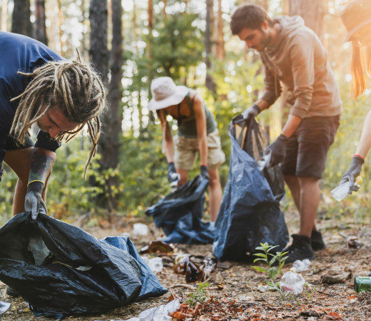Paladini del territorio: al via l’edizione 2023 Paladini del territorio: operazioni di pulizia del bosco