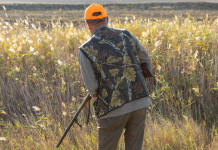 Quanti sono i cacciatori in Italia? Quanti sono i cacciatori in Italia