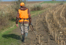 Unità dei cacciatori, accordo Federcaccia-Anuu Unità dei cacciatori: cacciatore di spalle con gilet alta visibilità