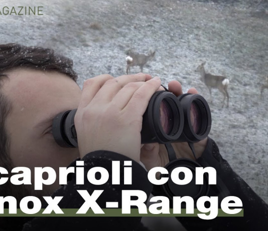 Minox X-Range 10×42: il test del binotelemetro a caccia