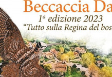 Beccaccia Day: un week end dedicato alla beccaccia Beccaccia Day un week end dedicato alla Beccaccia