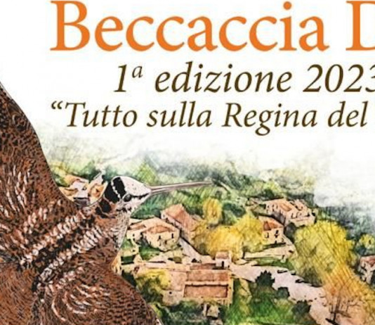 Beccaccia Day: un week end dedicato alla beccaccia Beccaccia Day un week end dedicato alla Beccaccia