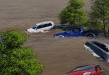 Coordinamento cacciatrici Federcaccia promuove raccolta fondi per Emilia Romagna Coordinamento cacciatrici Federcaccia promuove raccolta fondi per Emilia Romagna: alluvione in Emilia Romagna, autovetture in acqua