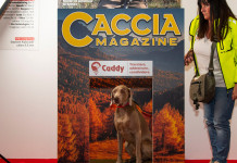 Ecco il vincitore de Il tuo cane in copertina Ecco il vincitore de Il tuo cane in copertina