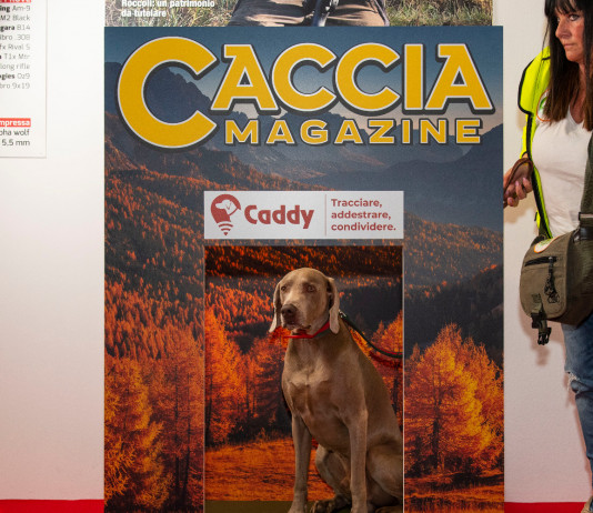 Ecco il vincitore de Il tuo cane in copertina Ecco il vincitore de Il tuo cane in copertina