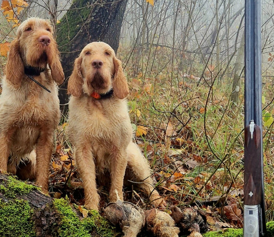 Beccacce che Passione: il nuovo numero in edicola Beccacce che Passione il nuovo numero in edicola dal 30 giugno