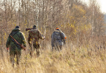 Oggi la designazione di tre componenti del comitato faunistico-venatorio nazionale Oggi la designazione di tre componenti del comitato faunistico-venatorio nazional: cacciatori di spalle, in fila indiana