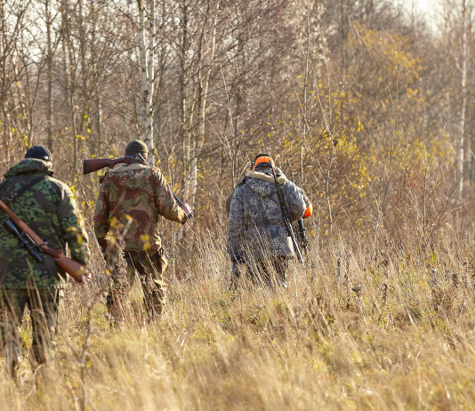 Oggi la designazione di tre componenti del comitato faunistico-venatorio nazionale Oggi la designazione di tre componenti del comitato faunistico-venatorio nazional: cacciatori di spalle, in fila indiana