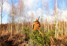 Pareri dell’Ispra sui calendari venatori, interrogazione del Pd Pareri dell’Ispra sui calendari venatori: cacciatore di spalle, in abbigliamento alta visibilità