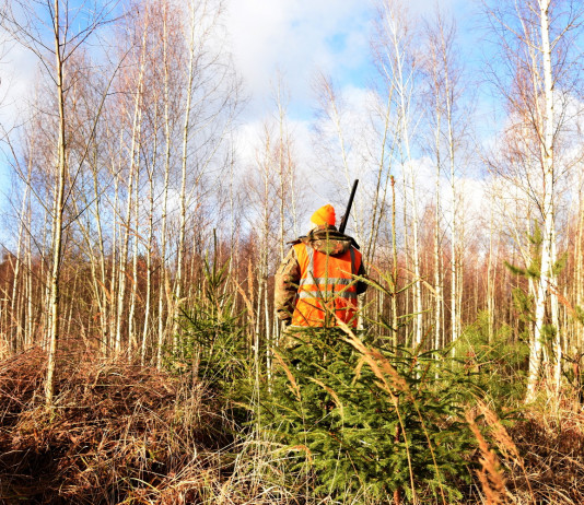 Pareri dell’Ispra sui calendari venatori, interrogazione del Pd Pareri dell’Ispra sui calendari venatori: cacciatore di spalle, in abbigliamento alta visibilità