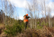 Rappresentanza dei cacciatori negli Atc, emendamento respinto Rappresentanza dei cacciatori negli Atc: cacciatore in abbigliamento alta visibilità