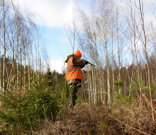 Rappresentanza dei cacciatori negli Atc, emendamento respinto Rappresentanza dei cacciatori negli Atc: cacciatore in abbigliamento alta visibilità