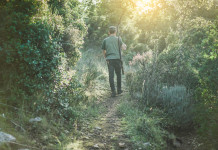 Rappresentanza dei cacciatori negli Atc, il Tar prende tempo Rappresentanza dei cacciatori negli Atc: cacciatore di spalle