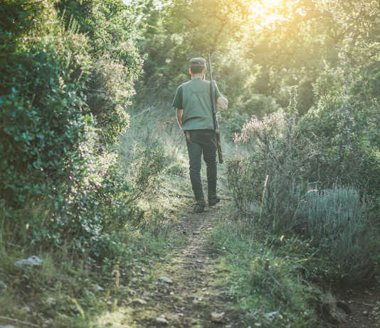 Rappresentanza dei cacciatori negli Atc, il Tar prende tempo Rappresentanza dei cacciatori negli Atc: cacciatore di spalle