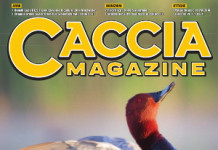Caccia Magazine luglio 2023 caccia magazine luglio 2023