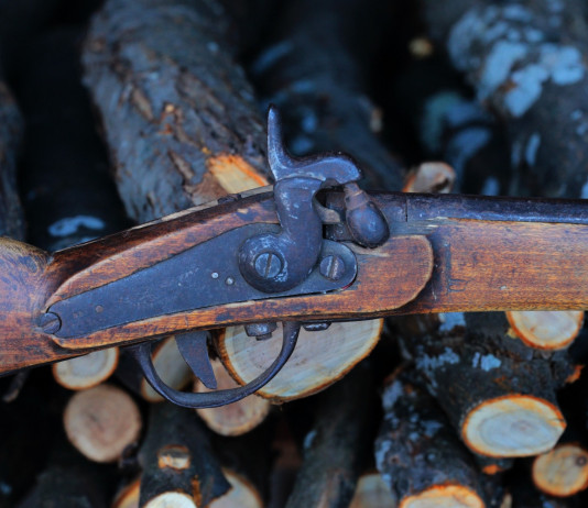 A Latina prova cinofila con armi da caccia ad avancarica A Latina prova cinofila con armi da caccia ad avancarica