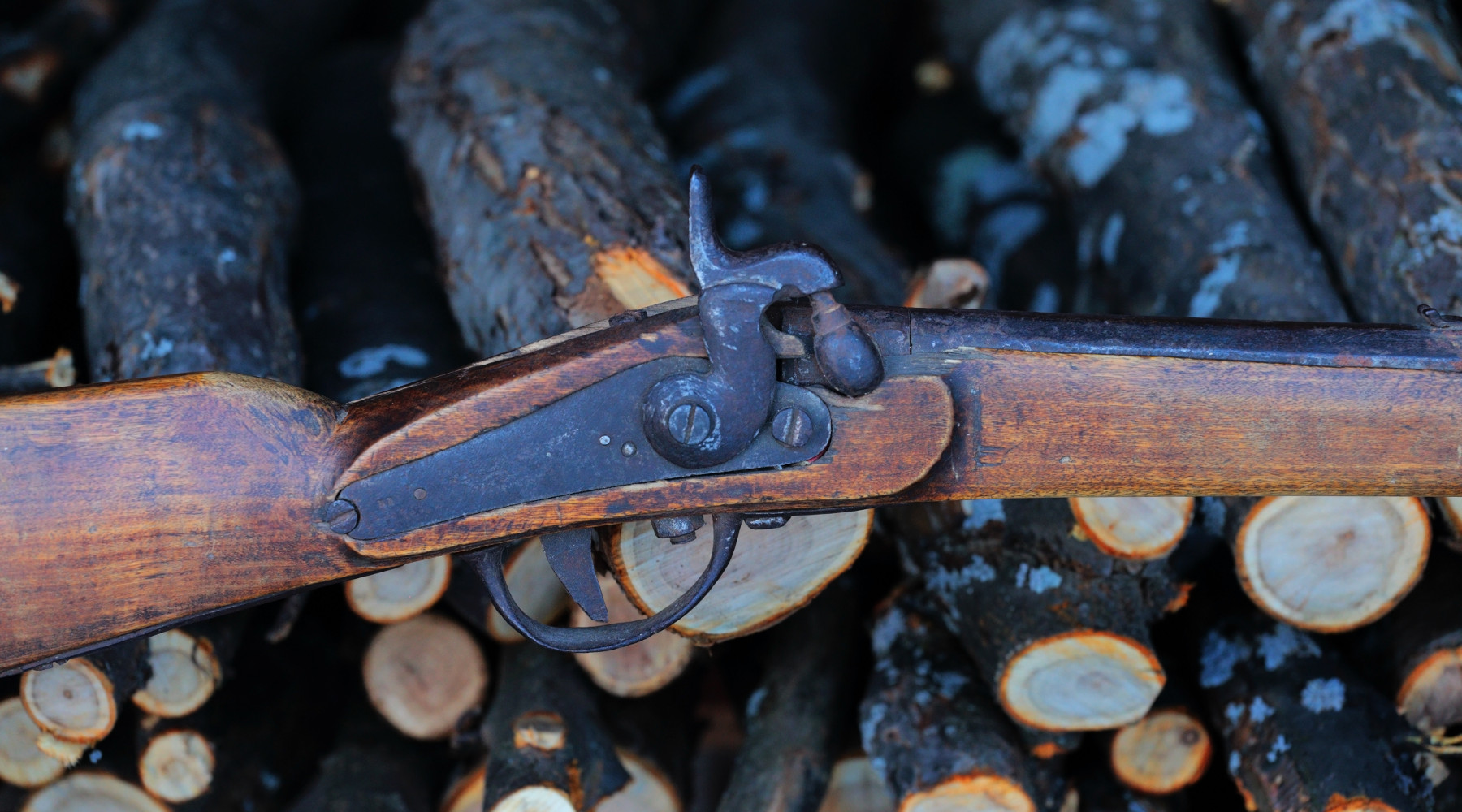 A Latina prova cinofila con armi da caccia ad avancarica A Latina prova cinofila con armi da caccia ad avancarica