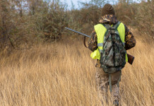 Associazioni venatorie chiedono commissariamento Atc Macerata 1 Associazioni venatorie chiedono commissariamento Atc Macerata 1