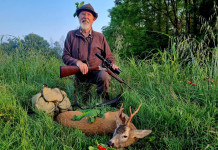 Capriolo in estate: caccia difficile Capriolo in estate caccia difficile