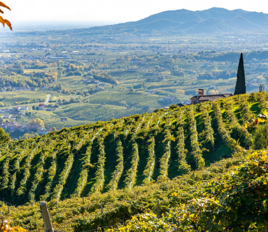Approvato il piano faunistico-venatorio del Veneto Approvato il piano faunistico-venatorio del Veneto: Valdobbiadene, colline sulla strada del prosecco