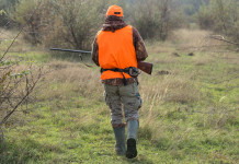 Ricorso Arcicaccia contro l’elenco dei componenti del comitato faunistico-venatorio Arcicaccia presenterà ricorso contro l’elenco dei componenti del comitato faunistico-venatorio: cacciatore di spalle con giacca alta visibilità