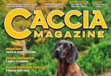 Caccia Magazine settembre 2023 Caccia Magazine settembre 2023