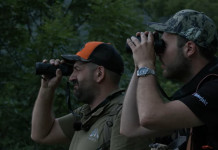 Caccia di selezione al cinghiale sulle Alpi comasche: il video Caccia di selezione al cinghiale sulle Alpi comasche: il video