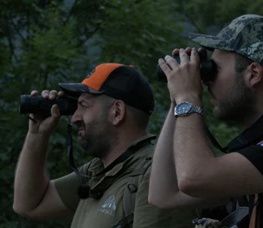 Caccia di selezione al cinghiale sulle Alpi comasche: il video Caccia di selezione al cinghiale sulle Alpi comasche: il video