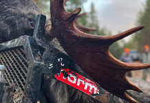 Norma sorteggia due posti per la caccia all’alce in Svezia Norma sorteggia due posti per la caccia all’alce in Svezia