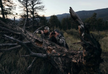 Swarovski El Range 32, un nuovo binotelemetro da caccia Swarovski El Range 32, un nuovo binotelemetro da caccia