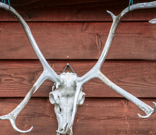 Trofei: acqua ossigenata al bando Trofei: acqua ossigenata al bando