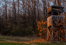 Atti vandalici contro i cacciatori, lettera al governo Atti vandalici contro i cacciatori, lettera al governo: altana di caccia