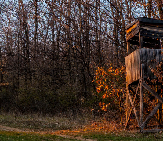 Atti vandalici contro i cacciatori, lettera al governo Atti vandalici contro i cacciatori, lettera al governo: altana di caccia