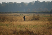 Caccia in Piemonte, le richieste della Fidc Caccia in Piemonte, le richieste della Fidc: cacciatore di spalle a Cameri, in provincia di Novara