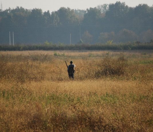 Caccia in Piemonte, le richieste della Fidc Caccia in Piemonte, le richieste della Fidc: cacciatore di spalle a Cameri, in provincia di Novara