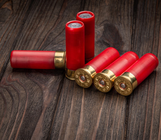 Circolare sulle munizioni in piombo, l’ordinanza del Tar del Lazio Circolare sulle munizioni in piombo, l’ordinanza del Tar del Lazio: sei cartucce rosse su tavolo di legno