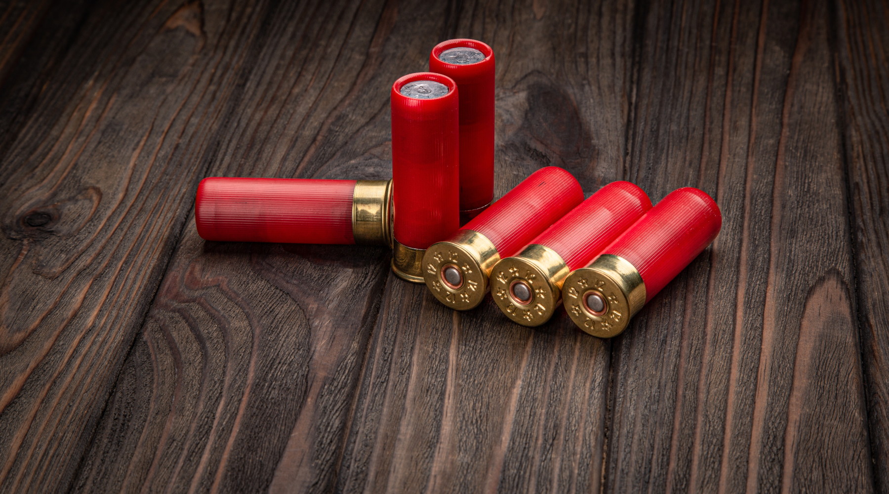 Circolare sulle munizioni in piombo, l’ordinanza del Tar del Lazio: sei cartucce rosse su tavolo di legno