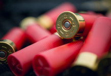 Munizioni in piombo, animalisti all’attacco degli emendamenti Munizioni in piombo, animalisti all’attacco degli emendamenti: munizioni da caccia con bossolo rosso