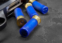 Munizioni in piombo, gli emendamenti della maggioranza Munizioni in piombo, gli emendamenti della maggioranza