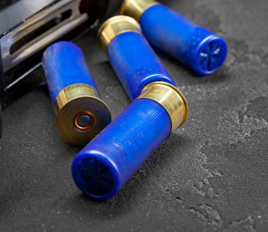 Munizioni in piombo, gli emendamenti della maggioranza Munizioni in piombo, gli emendamenti della maggioranza