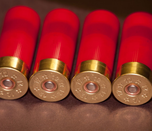 Munizioni in piombo, interrogazione urgente del Partito democratico Munizioni in piombo, interrogazione urgente del Pd: quattro cartucce da caccia con bossolo rosso e fondello in primo piano