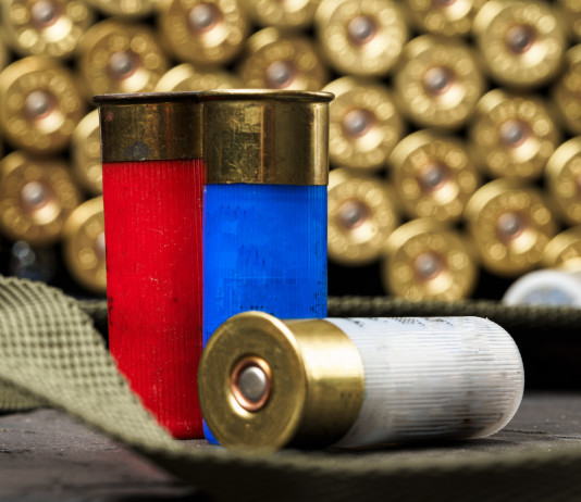 Munizioni in piombo: la situazione Munizioni in piombo: tre cartucce da caccia in primo piano