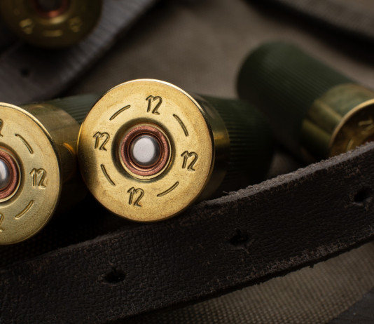 Munizioni in piombo, le indicazioni delle associazioni venatorie Munizioni in piombo, le indicazioni delle associazioni venatorie