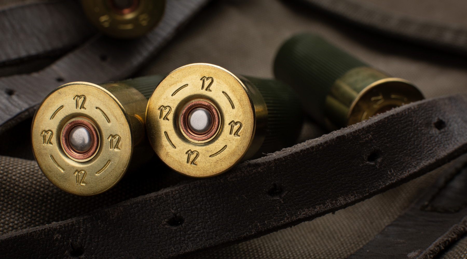 Shotgun,Shells,Close-up.,Ammunition,For,Smoothbore,Weapons,On,A,Khaki Munizioni in piombo, le indicazioni delle associazioni venatorie