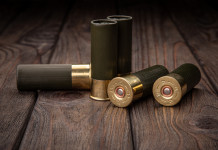 Munizioni in piombo nelle zone umide, emendamento approvato Munizioni in piombo nelle zone umide, approvato emendamento