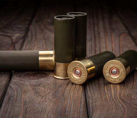 Munizioni in piombo nelle zone umide, emendamento approvato Munizioni in piombo nelle zone umide, approvato emendamento