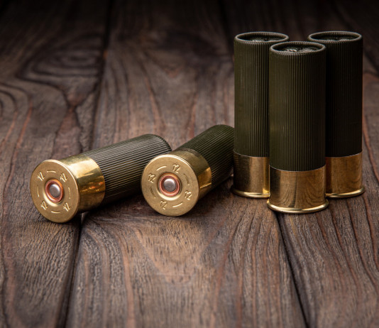 Munizioni in piombo nelle zone umide, incontro governo-cacciatori Munizioni in piombo nelle zone umide, incontro governo-cacciatori: munizioni da caccia su tavolo di legno