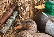 Senato approva due modifiche alla legge sulla caccia Senato approva due modifiche alla legge sulla caccia: richiami per caccia agli uccelli acquatici