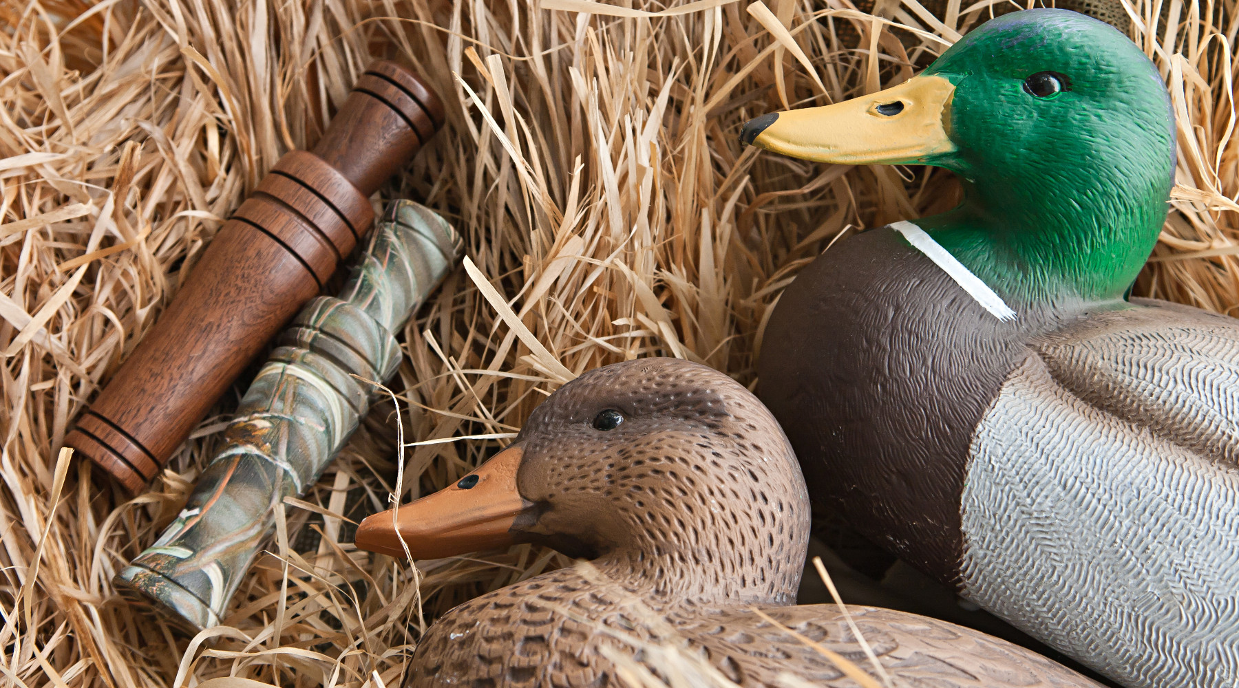 Senato approva due modifiche alla legge sulla caccia: richiami per caccia agli uccelli acquatici